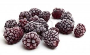 Mora silvestre  Congelado - VITALFRUT CHILE LTDA.